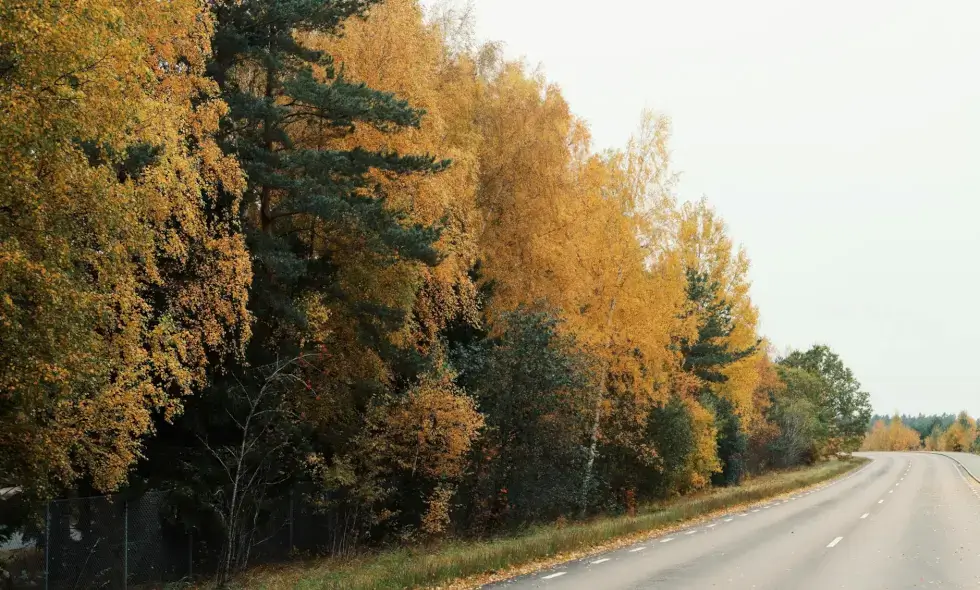 Ваколiцы Кладно са спазненнем завяршылi вялiкi рамонт аўтамагiстралi D6.
